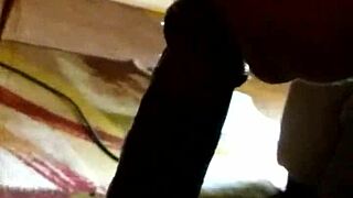 um, i think i messed up this blowjob vid...