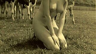 Dark Lantern Entertainment δείχνει vintage γυναίκες με ζώα