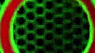 busty girlfriends sara jay and julie cash share two massive cocks in wild action!