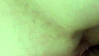 Amateur Busty Video 879