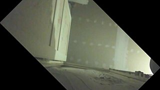 Stallion gets sucked dry in intense glory hole action!