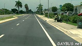 homo bear slamming it hard in raw action