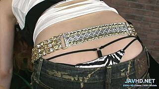 Ma chatte asiatique poilue Vol 42 compilation de modèles amateurs