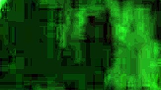 Amateur Video Capture Intriguing Moments