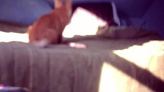 Trim File Hidden Toy Orgasm Masturbation