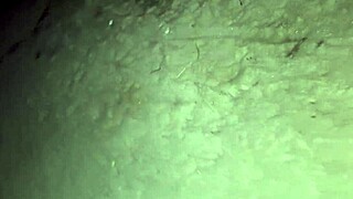 Fanny casada exposes ass