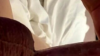 Roxi Reynolds gives blowjob to big cock