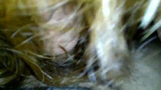 extreme milf sucking cock hard