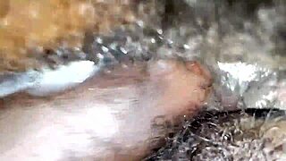 Πυκνό Σπέρμα Εκρήγνυται στη Σφιχτή Μαλλιαρή Πούτσα της