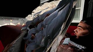 Eros garden polydemoscene