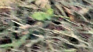 i’m laughing so hard peeing from a tree at gral paz