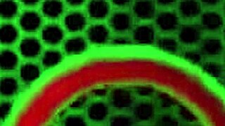 This big-boobed cougar Sara Jay just slurps and rides a massive cock like a pro