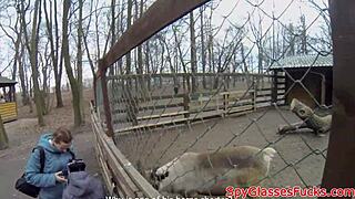 European Amateur POV Fucked in Tight Ass