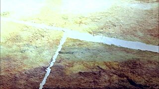 Hey, let’s dive into Os Cavaleiros do Zodiaco epic anime