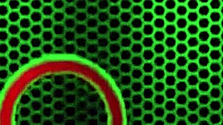 Marvelous Redhead Penny Pax Begs You to Cum Hard on Her