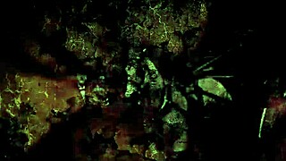 vintage erotic drawings got me all nostalgic and curious, ya know?