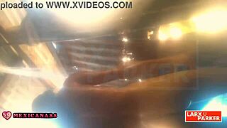 Kassandra masturbates in her bathroom for a virtual casting until she finishes.