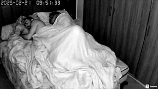 Curious Friends Caught on Hidden Camera