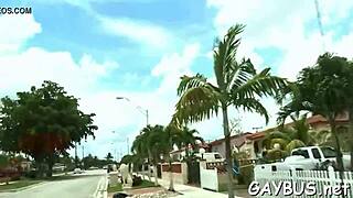 two gay lads sucking hunk cock