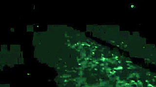 Vintage Erotic Illustration From Antique Cartoon Era