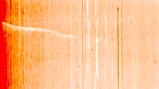 Vintage Erotic Drawings with Sensual Retro Charm