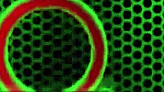 Lovers Jillian Janson dive into big pussy licking action.