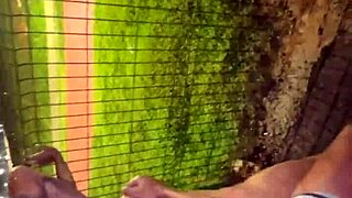 after a chat, i got hyped and begged my friends to stop the car and bang me on the street, no condoms, ignoring passersby!