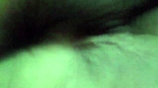 Horny neighbors disrupt lazy day