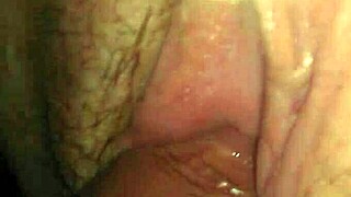 amateurs enjoy rica cogida