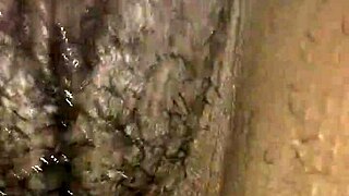 Wet Pussy Play with Ebony Babe and Wild Vibrator Action!