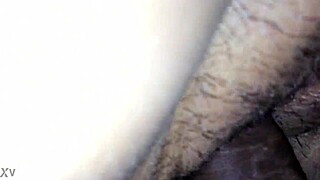 what’s happening in parte 1 with these amateurs?