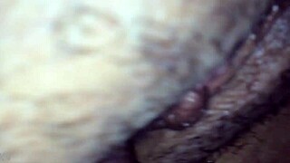 what’s happening in parte 1 with these amateurs?