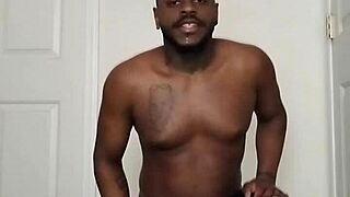 vampire scorpios nocturnal and diurnal