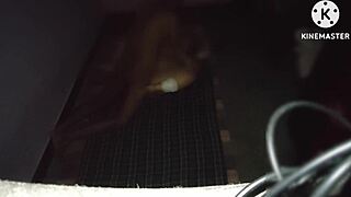The milkman seduced the busty MILF and fucked her with passion