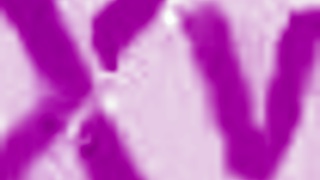 Double team action got me like, uhh, anal and blowjob at same time, ya know?