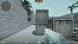 Jugador De Counter Con 1500hs Es Garchado Por Un Novato De 250hs