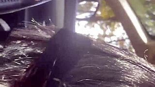 MILFycalla asks, Need a Ride? in Episode 4.