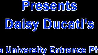 dr tampa handles tampa university entrance physical for daisy ducati