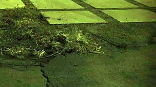 Extreme Outdoor Orgy with Tall Amazon Domination First Time