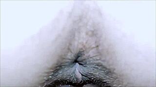 My wife and I are exploring the swinger lifestyle now.