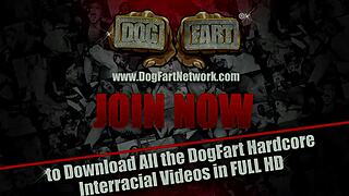 Aiden Aspen în Sex Interrasial Cornut cu Shane Diesel