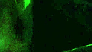 artemisia love flashes big tits on night car ride