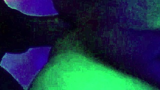 these beautiful argentinian shemales have massive cocks and asses, part 2