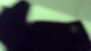 edy tantalizes the brunette from pernambuco with intense anal pleasure and assfucking