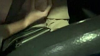 artemisia love flashes big tits on night car ride