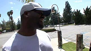 Jamie Brosoks Bounces Big Tits During Anal Boning