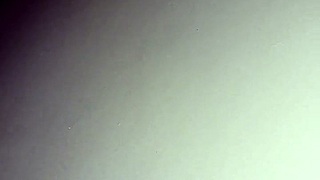 On All Fours Getting Assfucked To Funk Beats! 🎶