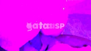 Latina Hotwife Takes Big Black Cock Bareback