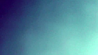 Harige Kut Plassen Detailed Scene