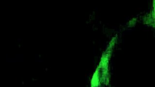 Sucking Huge Cock Roughly In The Dark